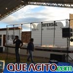 2º Leilão Fazendas Reunidas Cariri e Haras Cheval foi um sucesso 273