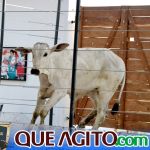 2º Leilão Fazendas Reunidas Cariri e Haras Cheval foi um sucesso 307