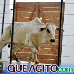 2º Leilão Fazendas Reunidas Cariri e Haras Cheval foi um sucesso 152