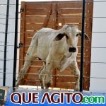 2º Leilão Fazendas Reunidas Cariri e Haras Cheval foi um sucesso 195