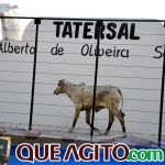 2º Leilão Fazendas Reunidas Cariri e Haras Cheval foi um sucesso 135