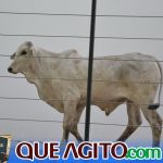 2º Leilão Fazendas Reunidas Cariri e Haras Cheval foi um sucesso 198