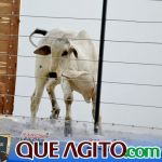 2º Leilão Fazendas Reunidas Cariri e Haras Cheval foi um sucesso 207