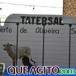 2º Leilão Fazendas Reunidas Cariri e Haras Cheval foi um sucesso 186