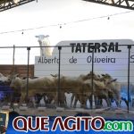 2º Leilão Fazendas Reunidas Cariri e Haras Cheval foi um sucesso 253