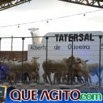 2º Leilão Fazendas Reunidas Cariri e Haras Cheval foi um sucesso 324