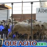 2º Leilão Fazendas Reunidas Cariri e Haras Cheval foi um sucesso 154