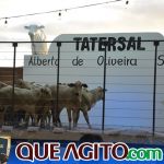 2º Leilão Fazendas Reunidas Cariri e Haras Cheval foi um sucesso 289