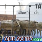 2º Leilão Fazendas Reunidas Cariri e Haras Cheval foi um sucesso 272