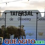 2º Leilão Fazendas Reunidas Cariri e Haras Cheval foi um sucesso 216