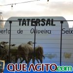 2º Leilão Fazendas Reunidas Cariri e Haras Cheval foi um sucesso 75