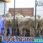 2º Leilão Fazendas Reunidas Cariri e Haras Cheval foi um sucesso 28