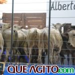 2º Leilão Fazendas Reunidas Cariri e Haras Cheval foi um sucesso 224