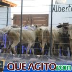 2º Leilão Fazendas Reunidas Cariri e Haras Cheval foi um sucesso 51