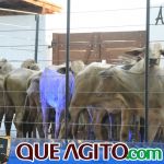 2º Leilão Fazendas Reunidas Cariri e Haras Cheval foi um sucesso 215