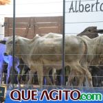 2º Leilão Fazendas Reunidas Cariri e Haras Cheval foi um sucesso 266