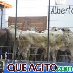 2º Leilão Fazendas Reunidas Cariri e Haras Cheval foi um sucesso 332