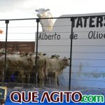 2º Leilão Fazendas Reunidas Cariri e Haras Cheval foi um sucesso 134