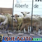 2º Leilão Fazendas Reunidas Cariri e Haras Cheval foi um sucesso 219