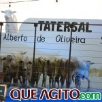 2º Leilão Fazendas Reunidas Cariri e Haras Cheval foi um sucesso 116