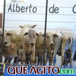 2º Leilão Fazendas Reunidas Cariri e Haras Cheval foi um sucesso 256