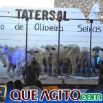2º Leilão Fazendas Reunidas Cariri e Haras Cheval foi um sucesso 169