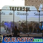 2º Leilão Fazendas Reunidas Cariri e Haras Cheval foi um sucesso 12