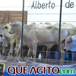 2º Leilão Fazendas Reunidas Cariri e Haras Cheval foi um sucesso 208