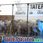 2º Leilão Fazendas Reunidas Cariri e Haras Cheval foi um sucesso 356