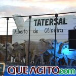 2º Leilão Fazendas Reunidas Cariri e Haras Cheval foi um sucesso 167