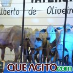 2º Leilão Fazendas Reunidas Cariri e Haras Cheval foi um sucesso 79