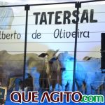 2º Leilão Fazendas Reunidas Cariri e Haras Cheval foi um sucesso 351