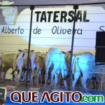 2º Leilão Fazendas Reunidas Cariri e Haras Cheval foi um sucesso 231