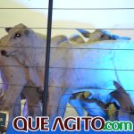 2º Leilão Fazendas Reunidas Cariri e Haras Cheval foi um sucesso 115