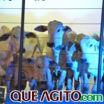 2º Leilão Fazendas Reunidas Cariri e Haras Cheval foi um sucesso 77