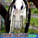 5ª Cavalgada dos Amigos em Pau Brasil foi um sucesso 189