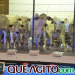 2º Leilão Fazendas Reunidas Cariri e Haras Cheval foi um sucesso 86