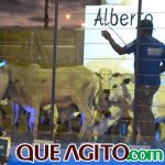 2º Leilão Fazendas Reunidas Cariri e Haras Cheval foi um sucesso 280