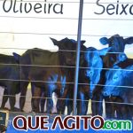 2º Leilão Fazendas Reunidas Cariri e Haras Cheval foi um sucesso 127