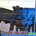 2º Leilão Fazendas Reunidas Cariri e Haras Cheval foi um sucesso 146
