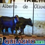 2º Leilão Fazendas Reunidas Cariri e Haras Cheval foi um sucesso 162
