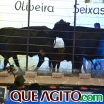 2º Leilão Fazendas Reunidas Cariri e Haras Cheval foi um sucesso 94