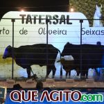 2º Leilão Fazendas Reunidas Cariri e Haras Cheval foi um sucesso 308