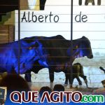 2º Leilão Fazendas Reunidas Cariri e Haras Cheval foi um sucesso 166