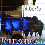 2º Leilão Fazendas Reunidas Cariri e Haras Cheval foi um sucesso 353