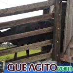 2º Leilão Fazendas Reunidas Cariri e Haras Cheval foi um sucesso 225