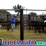 2º Leilão Fazendas Reunidas Cariri e Haras Cheval foi um sucesso 335