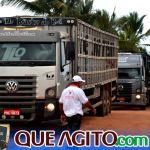 2º Leilão Fazendas Reunidas Cariri e Haras Cheval foi um sucesso 263