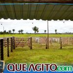 2º Leilão Fazendas Reunidas Cariri e Haras Cheval foi um sucesso 342