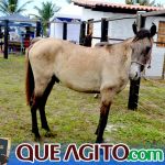 2º Leilão Fazendas Reunidas Cariri e Haras Cheval foi um sucesso 180
